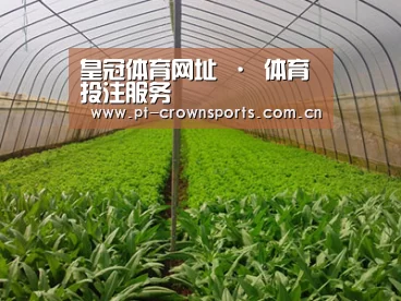 种植基地四
