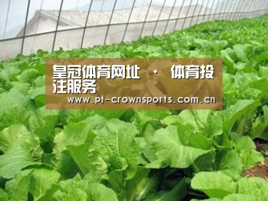 种植基地一