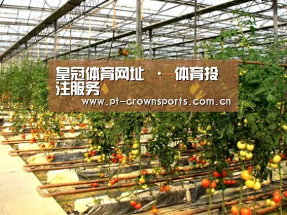 种植基地二