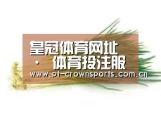 产品名称二