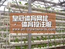环境展示六