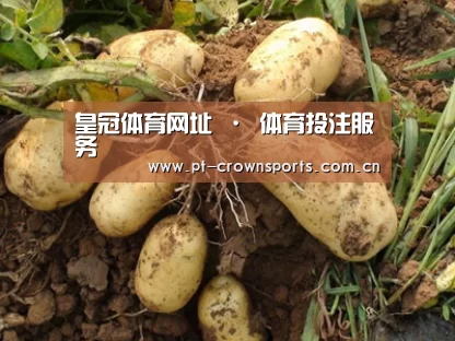 种植基地六