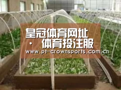 环境展示五