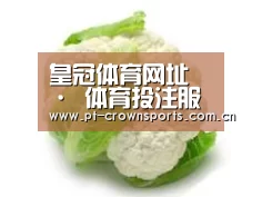 产品名称九