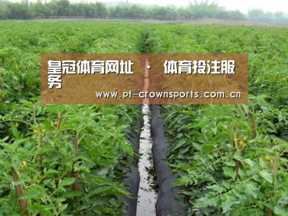 种植基地三
