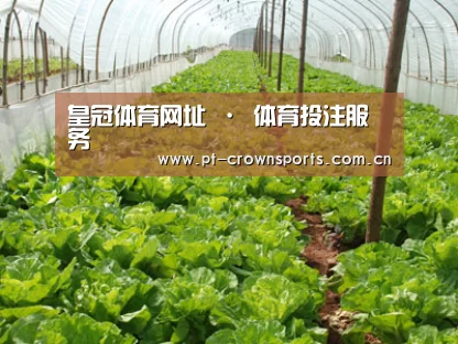 种植基地五